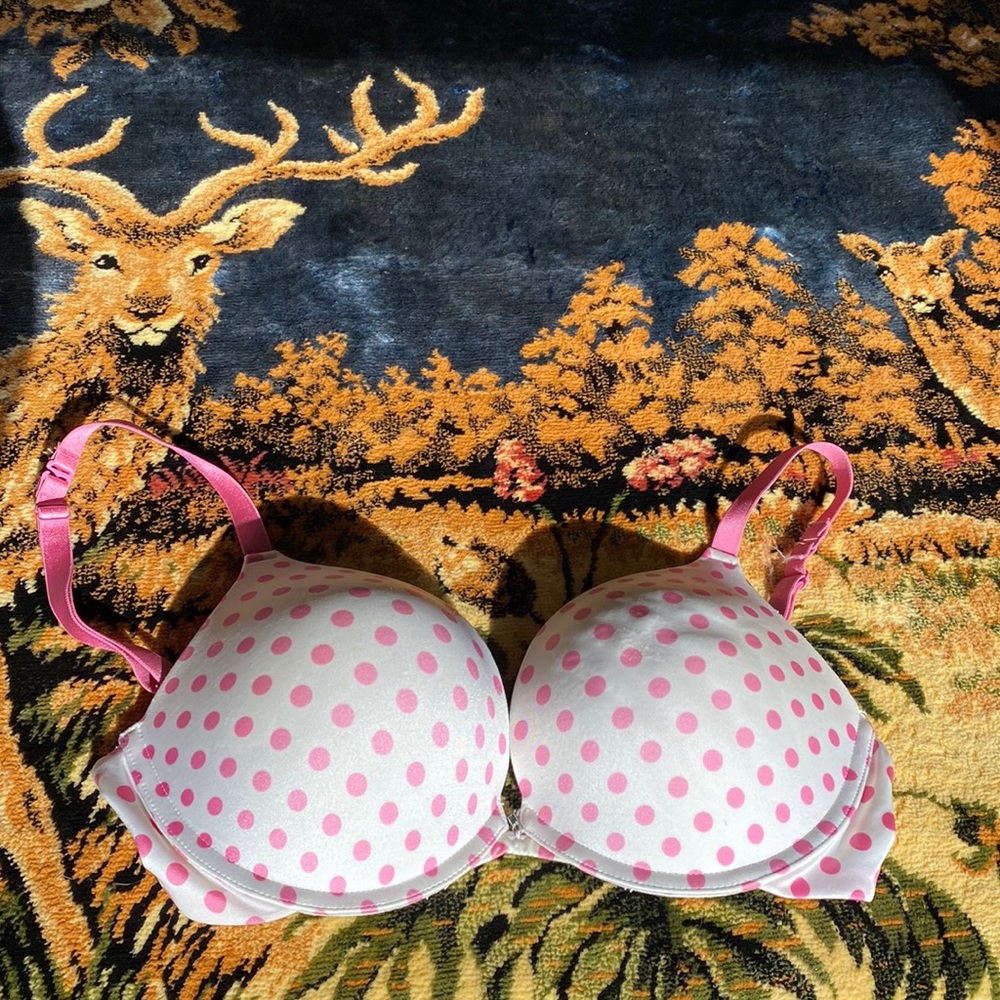 🔥 EUC Frederick’s of Hollywood 34D push-up